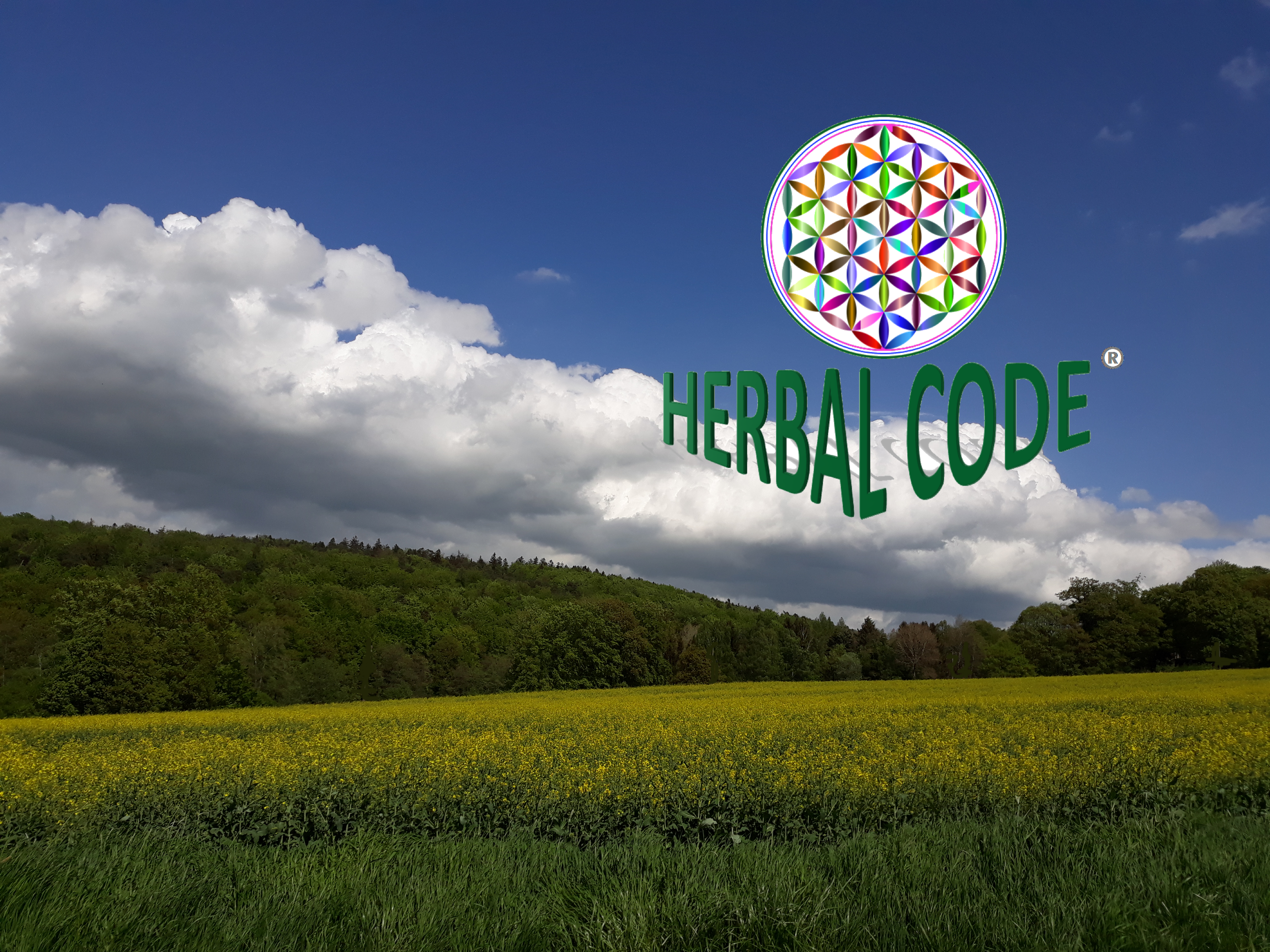 www.herbal-code.de