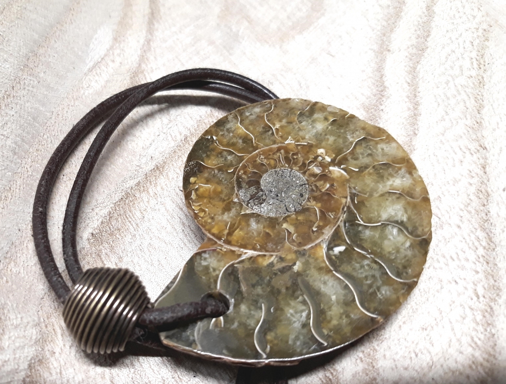Bild 1 von Echter Ammonit - Halskette