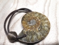 Echter Ammonit - Halskette